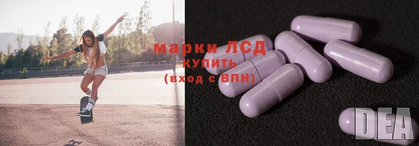 PSILOCYBIN Кукмор