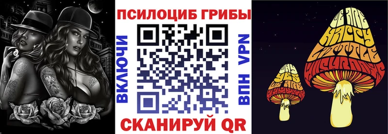 наркотики  Баксан  Псилоцибиновые грибы Psilocybe 